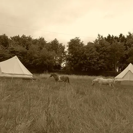 Ferry House Holidays *