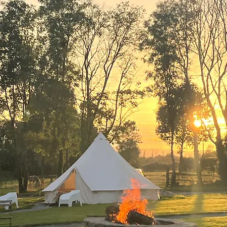 Ferry House Holidays * 뉴 로스